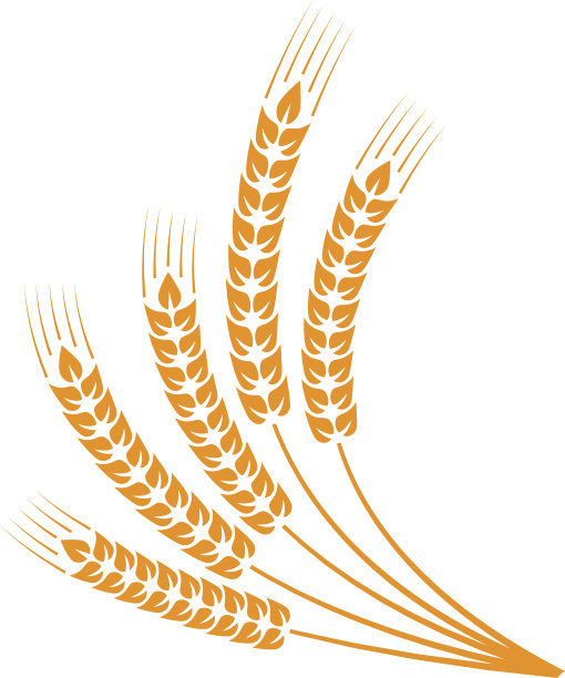 稻谷图片素材ID：141781072