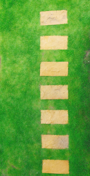 俯视图花园通道图片下载