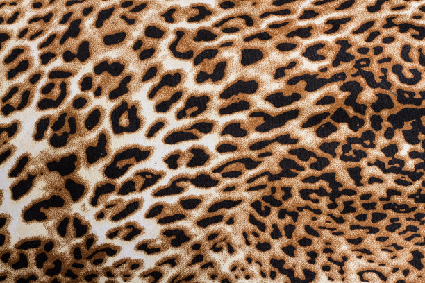 除此之外,虎纹图片下载