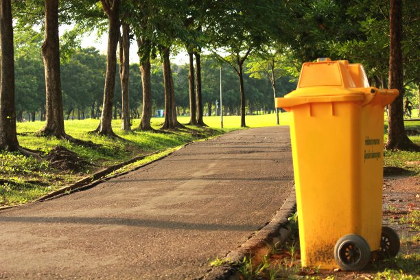 本在公园图片下载