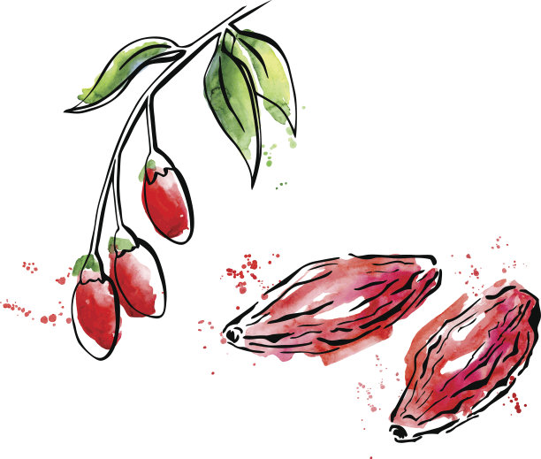 草药矢量图素材ID：141801766