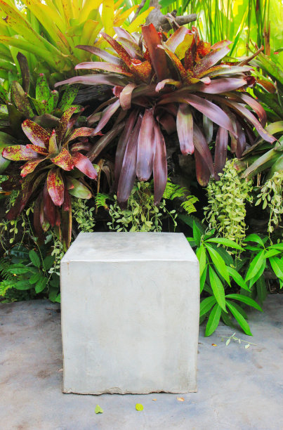 花园的座位图片下载