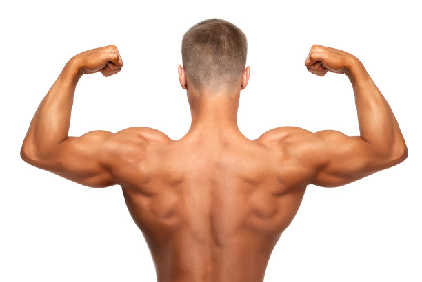 显示二头肌的男人图片下载