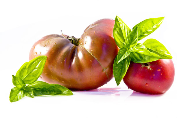 白色背景上放番茄和罗勒图片下载