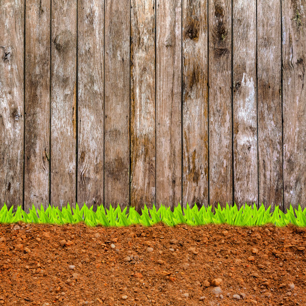 墙边草和土的横截面图片下载