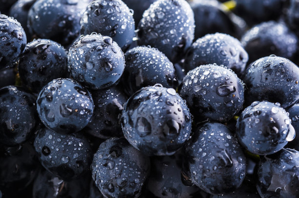 一串红葡萄图片下载