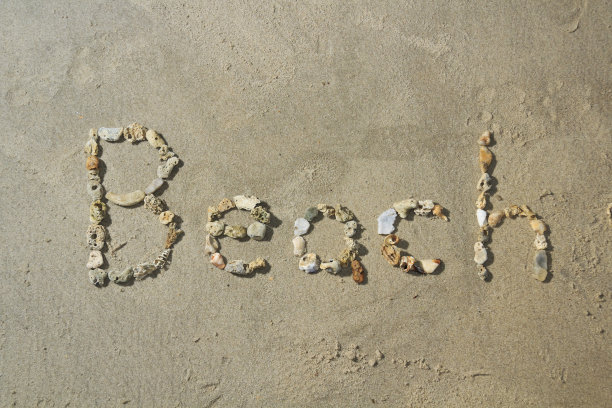 海滩和壳牌图片下载