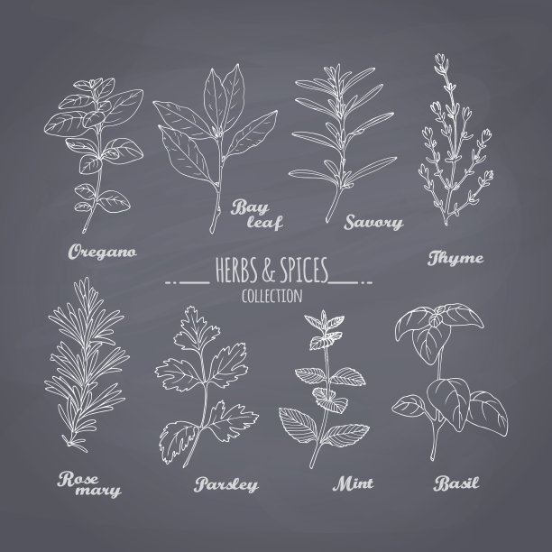 在黑板背景上手绘香料图片下载