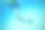 水下照片的一个女人浮潜在清澈的热带海洋图片下载