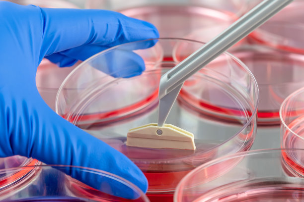 用细胞刮板收集细胞素材图片