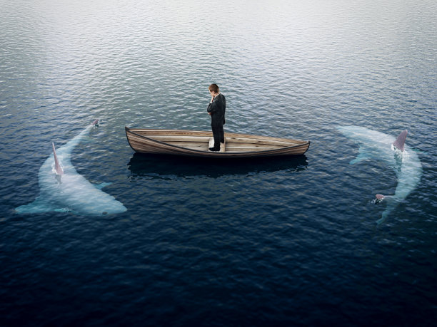 商人和鲨鱼图片下载