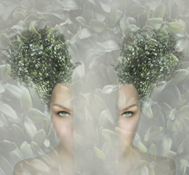 在我的内心和外部图片下载