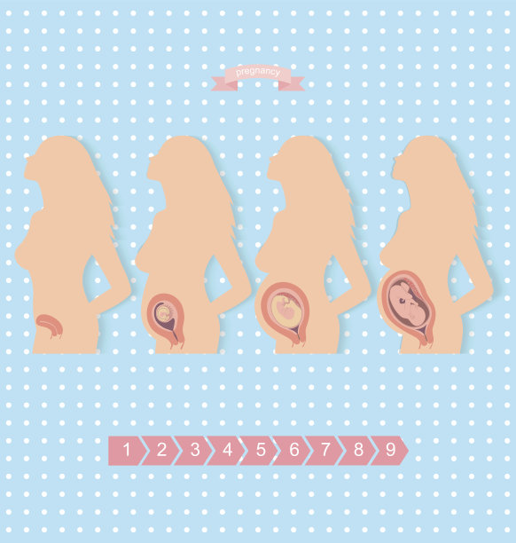 一个孕妇的剪影图片下载