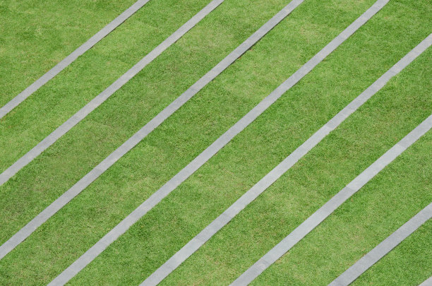 草模式图片下载