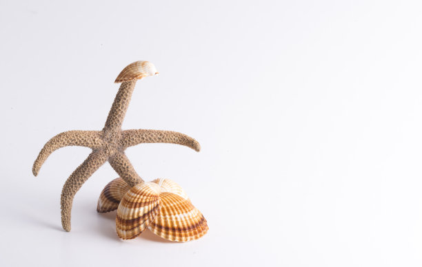 明星逃离图片下载