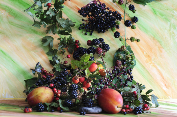 贝里斯的秋天图片下载