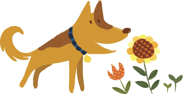 对狗的看法图片下载