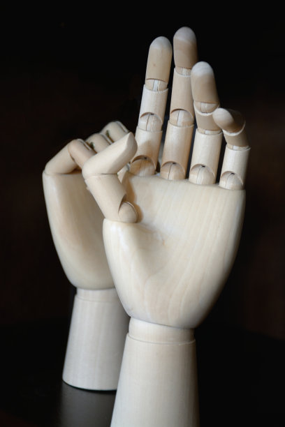 手模特图片下载