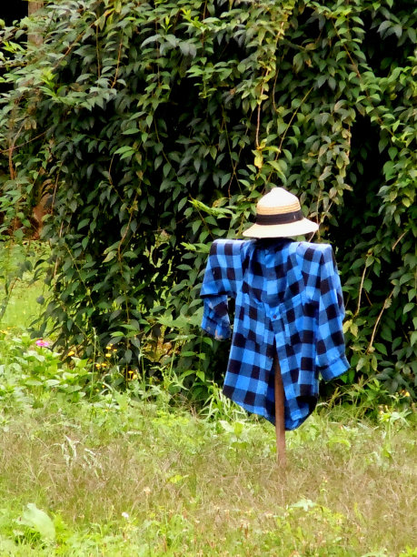 稻草人图片下载