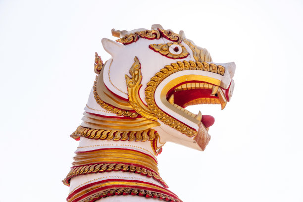 神圣的狮子图片下载