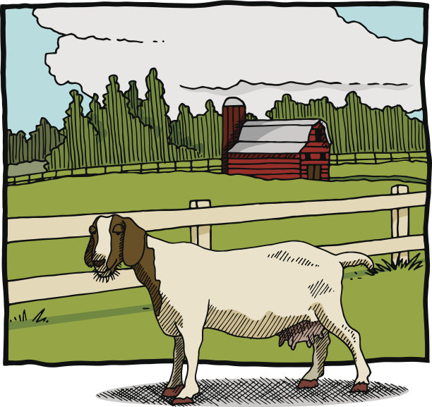 孤独的山羊需要刮胡子图片下载