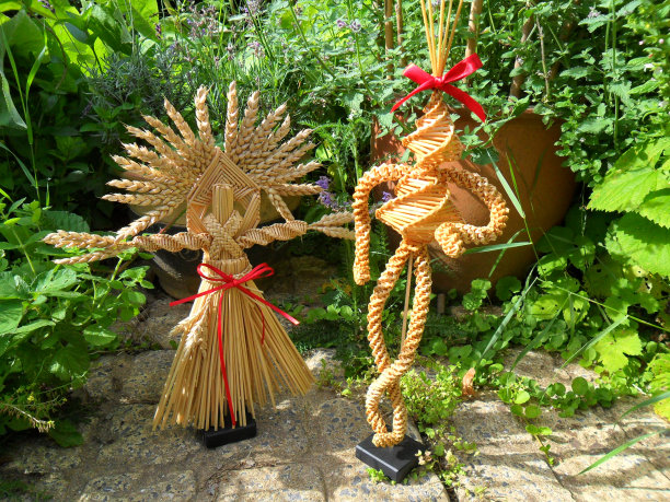 收获母亲和雪碧。图片下载