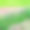 夏季公园的花坛素材图片