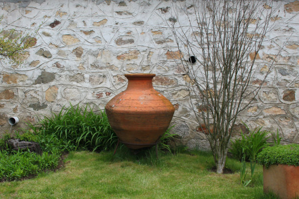 农村的后院图片下载