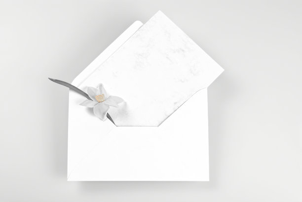 空白贺卡和用水仙花装饰的信封图片下载