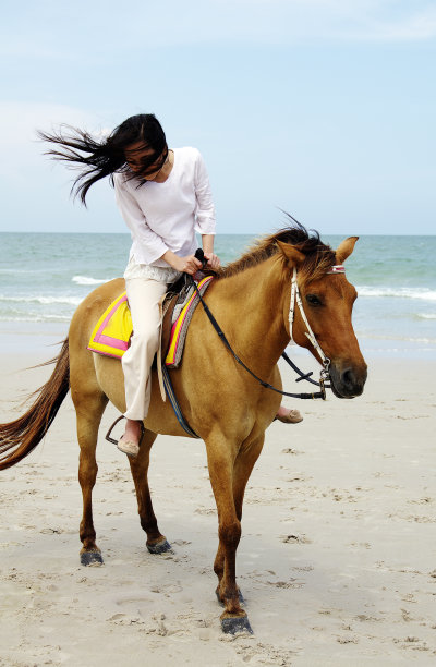 女人和马图片下载