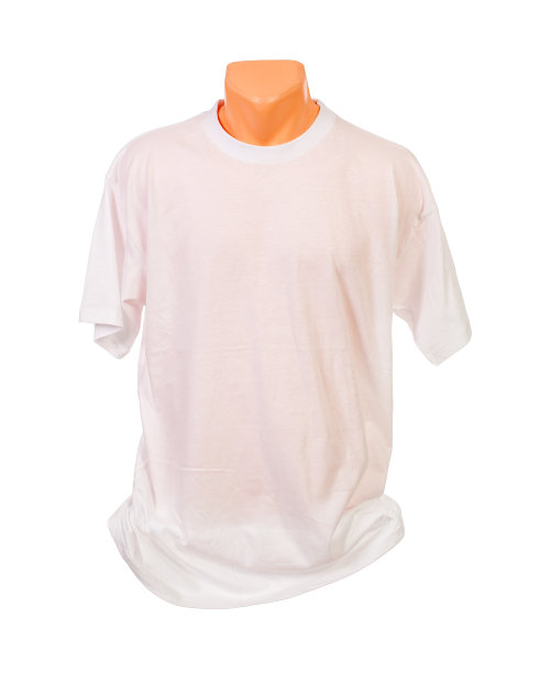 人体模型上的白色t恤图片下载