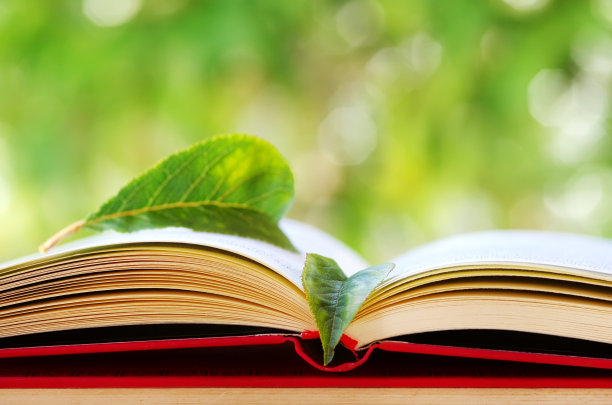 绿色的叶子在打开的书图片下载