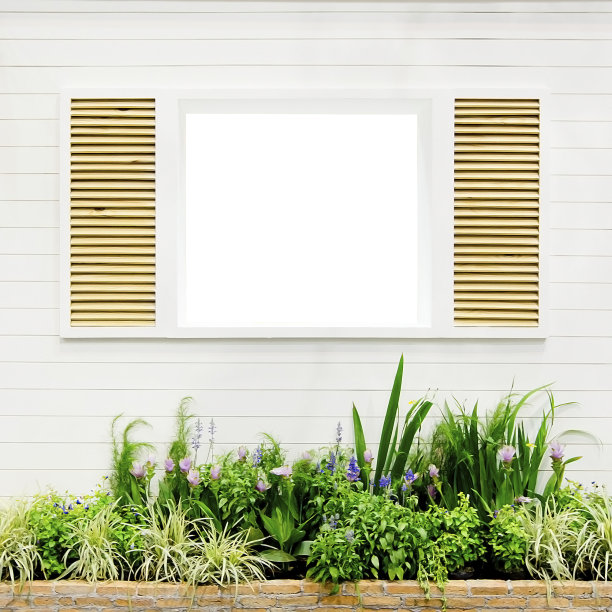 漂亮的白色镶花窗图片下载