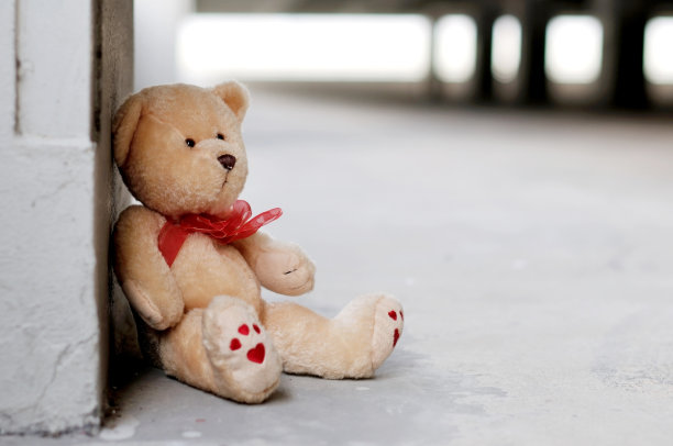 孤独的泰迪熊图片下载