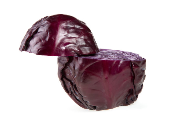 美丽的红卷心菜孤立在白色图片下载