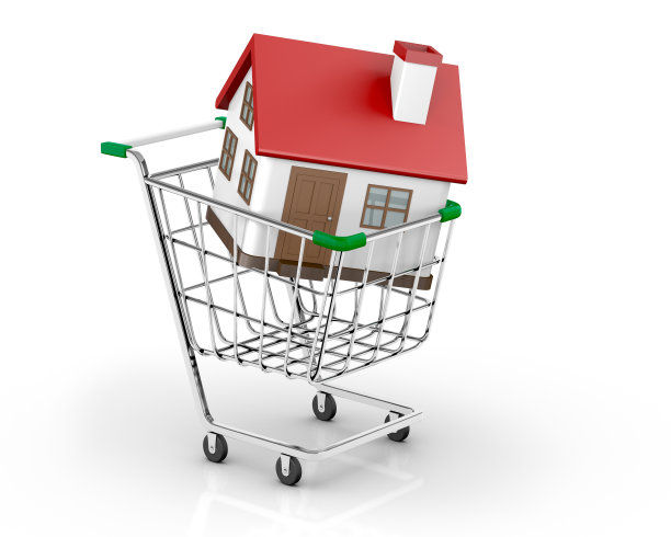 在购物车里的房子图片下载