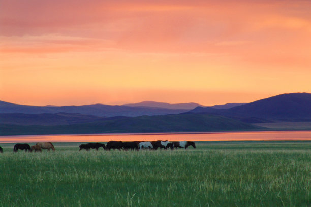 未被破坏和原始的蒙古景观图片下载
