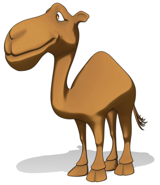 有趣的骆驼图片下载