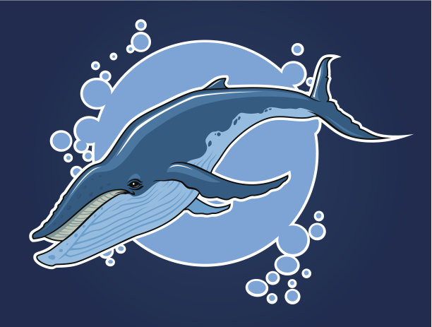 鲸鱼图片下载