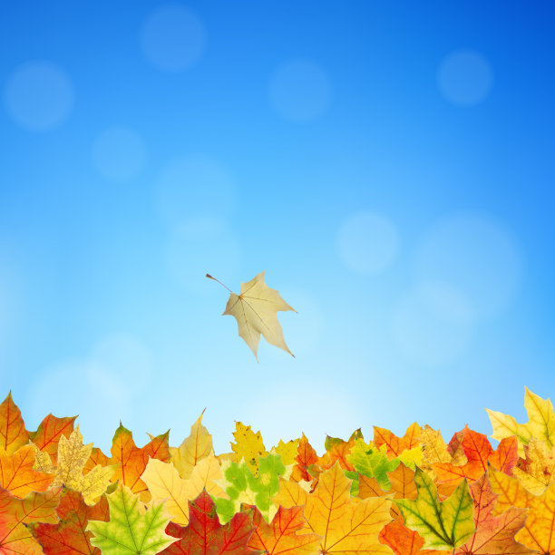 秋天背景图片下载