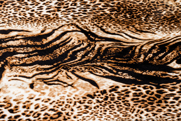 除此之外,虎纹图片下载