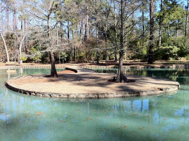 两个树岛图片下载