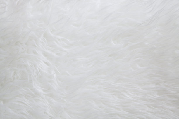 白色羊皮地毯纹理图片下载