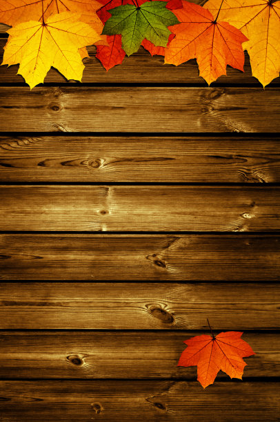 木制的背景与秋天的枫叶图片下载