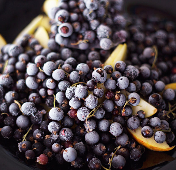 冷冻浆果素材图片