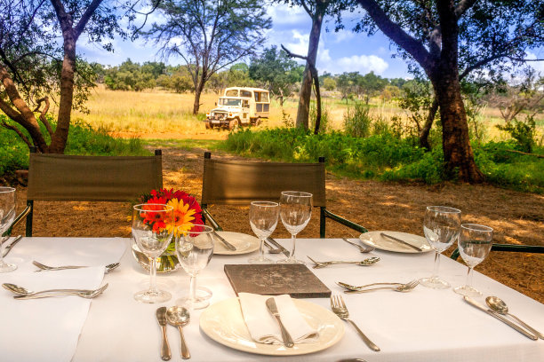 Safari早餐3365图片下载