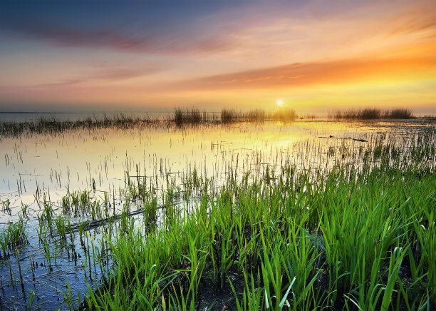 日落在湖图片下载