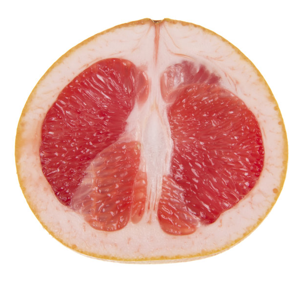 有新鲜蔬菜的静物图片下载