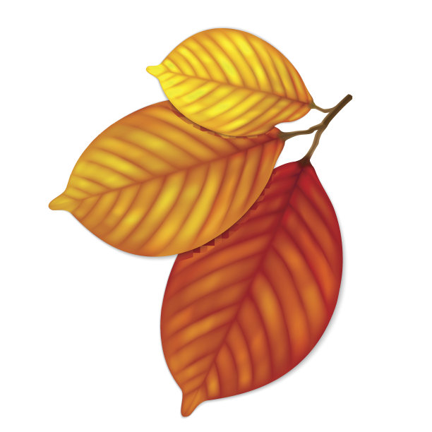 细密的秋叶图片下载