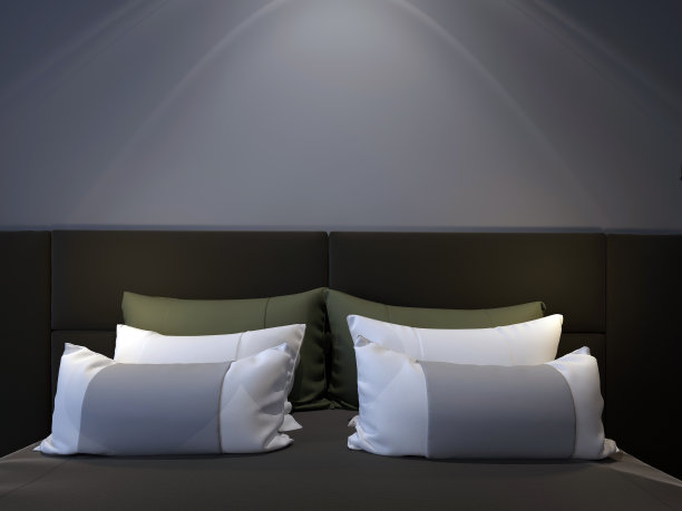 现代双卧室图片下载